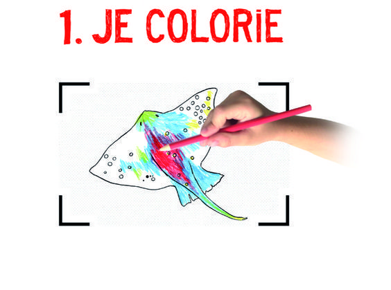 coloriage