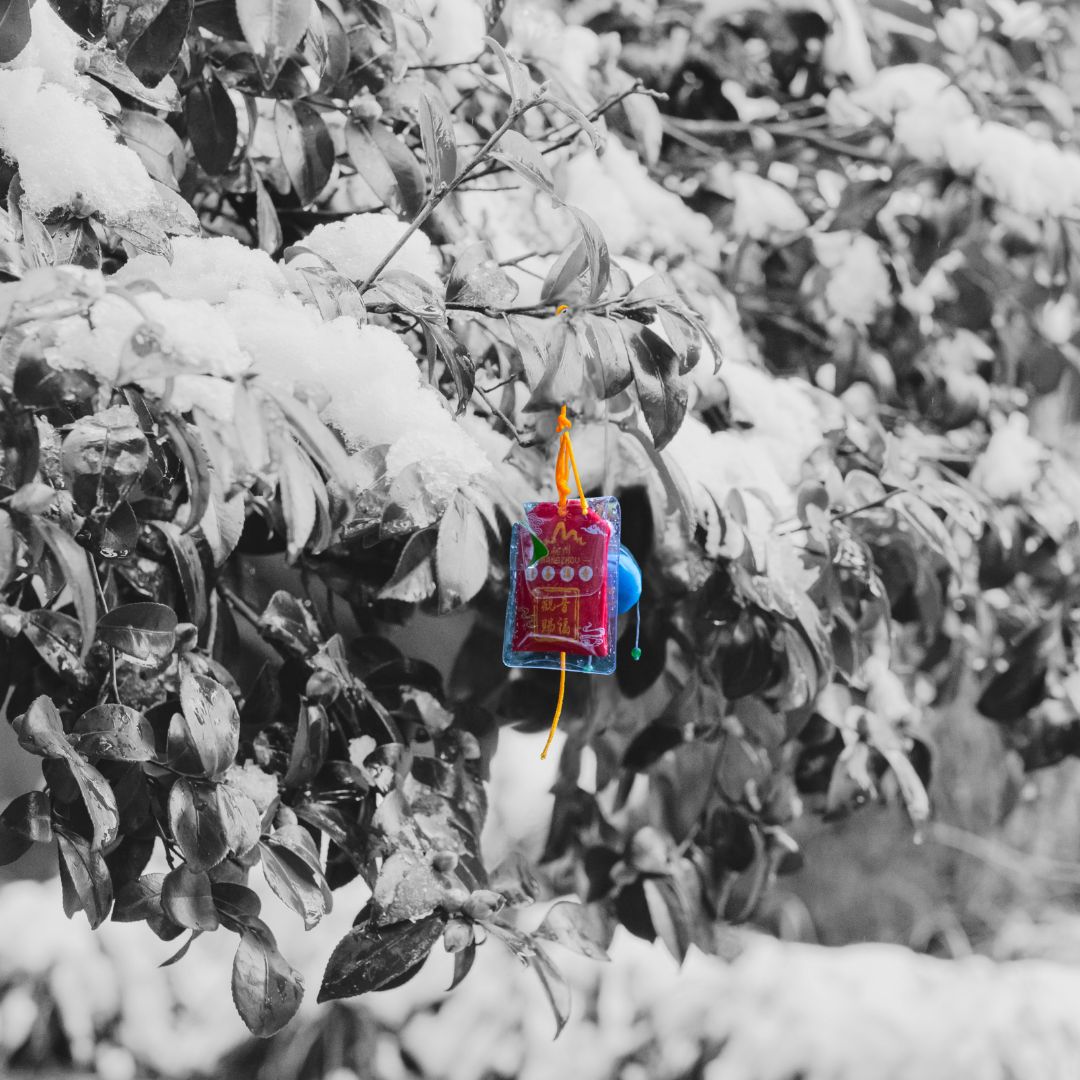 Omamori en couleur avec un arbre sous la neige en noir et blanc.