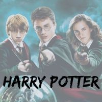 illustration qui harry potter