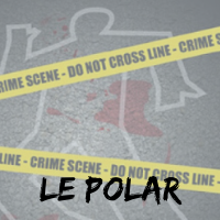 quiz polar, roman policier