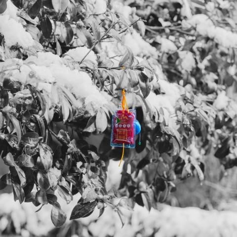 Omamori en couleur avec un arbre sous la neige en noir et blanc.