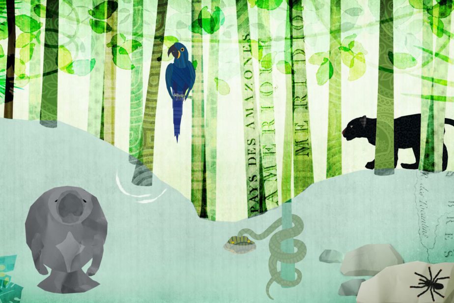 Illustration de l'application